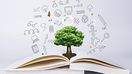 教育行業(yè)平臺的解決方案