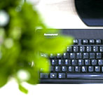 網(wǎng)聯(lián)信息科技開發(fā)有限公司廣州分公司成立